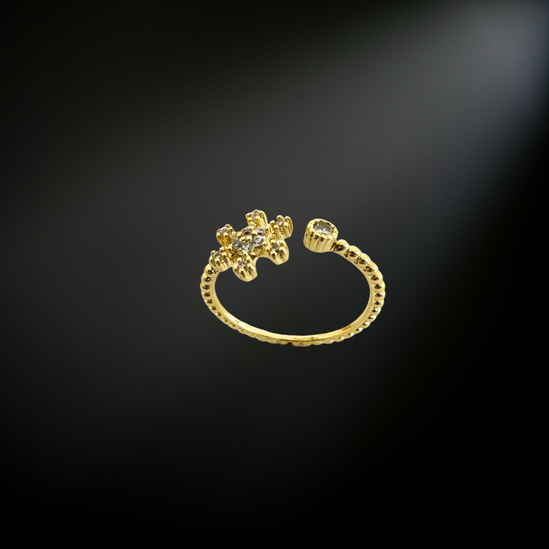 GP Ring