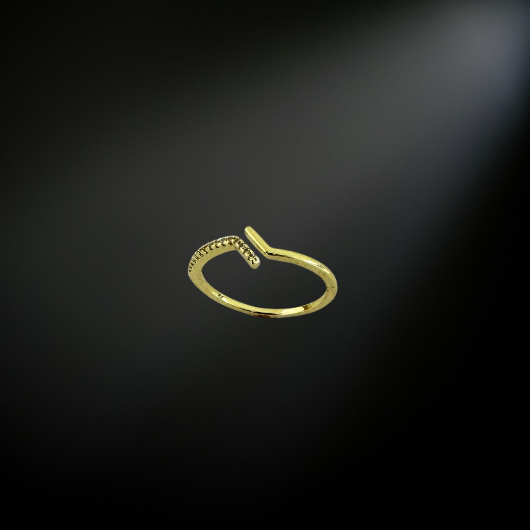 GP Ring