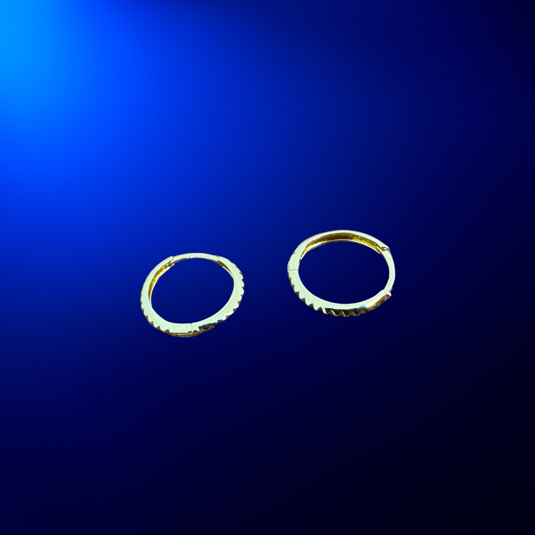 Hoop Earrings
