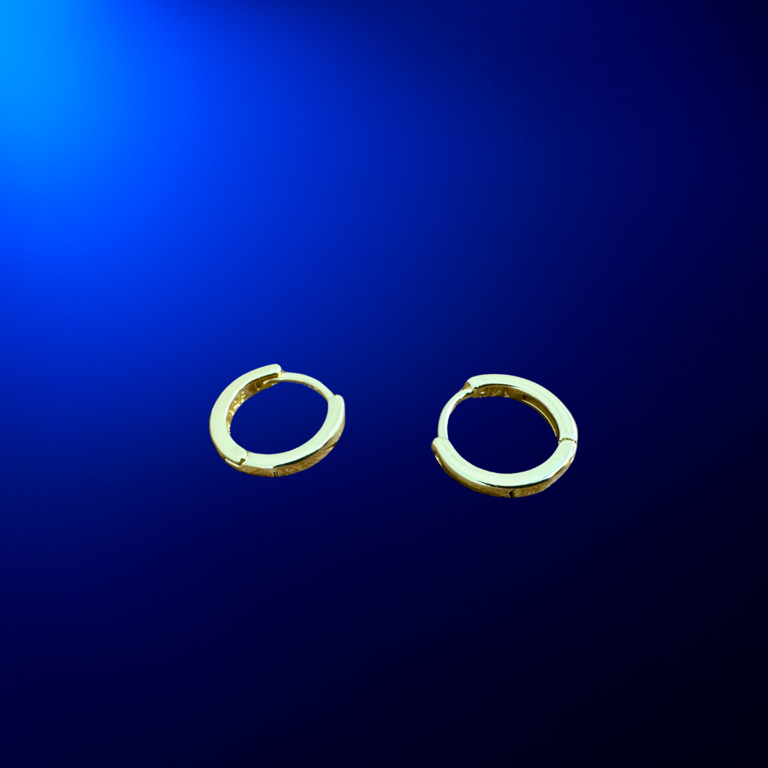 Hoop Earrings