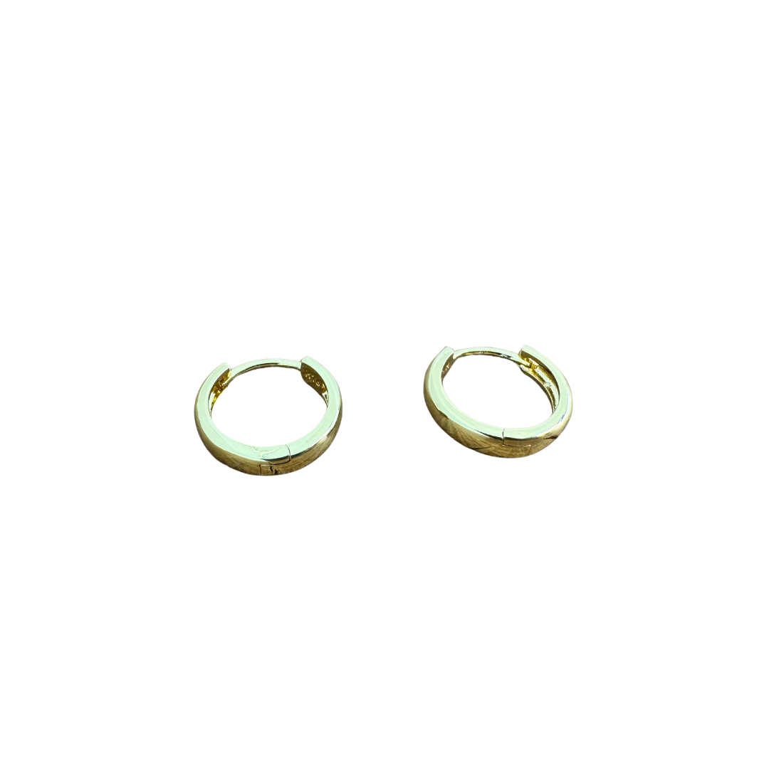 Hoop Earrings