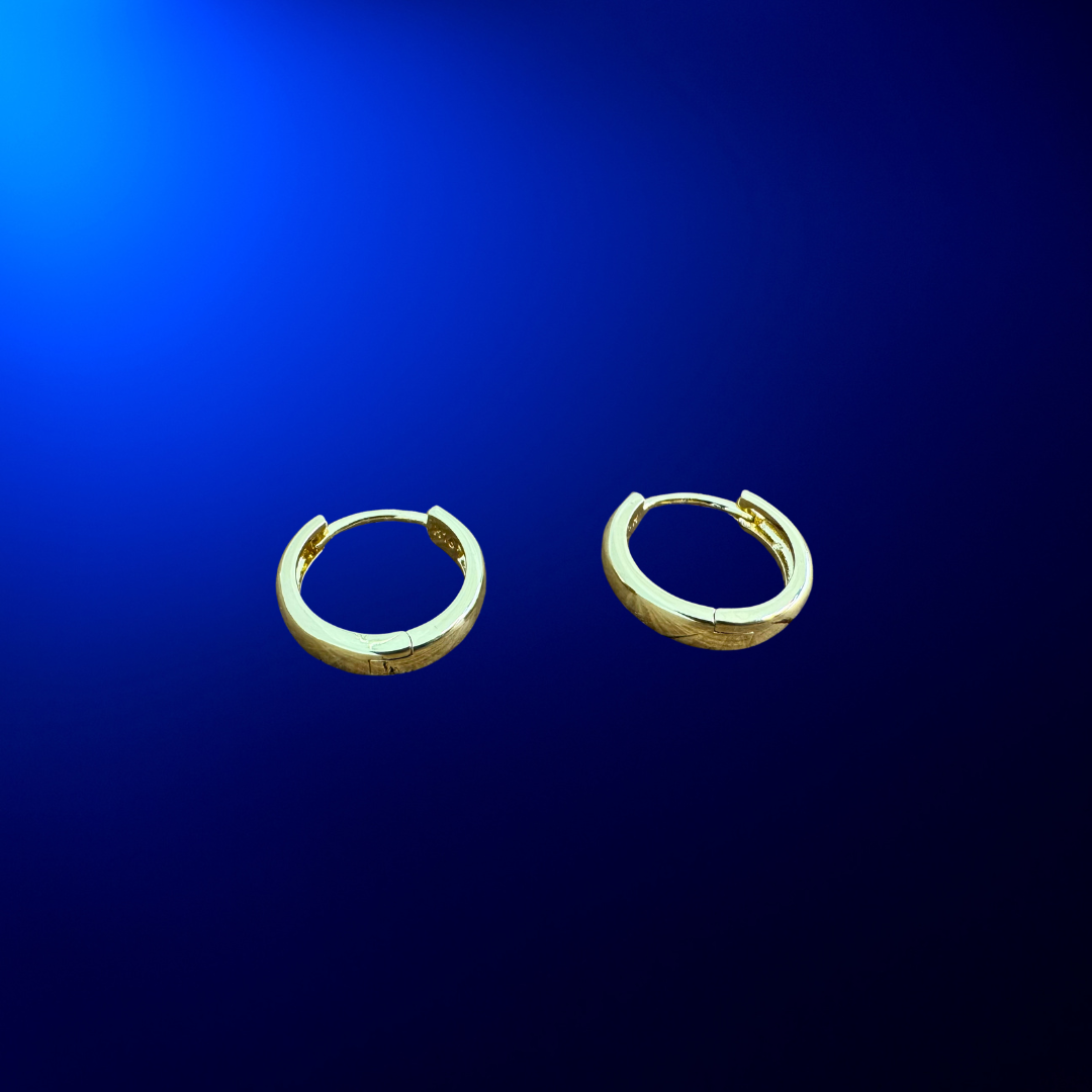 Hoop Earrings