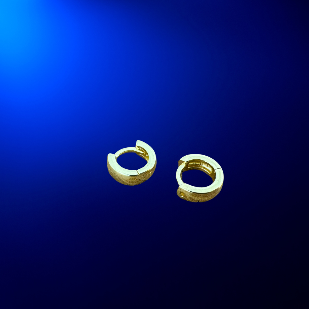 Hoop Earrings