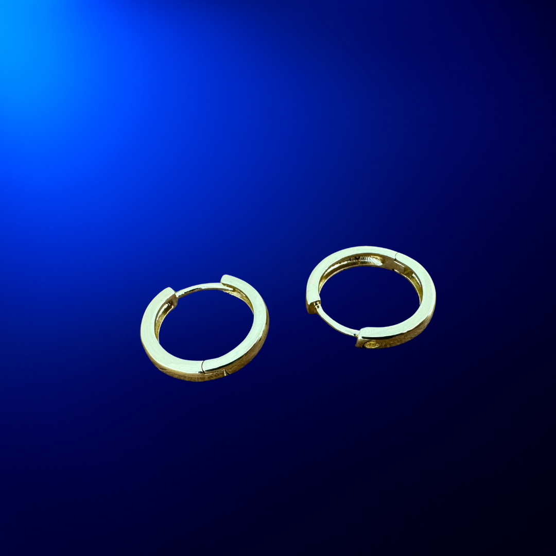 Hoop Earrings
