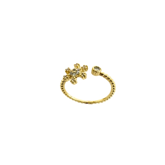 GP Ring