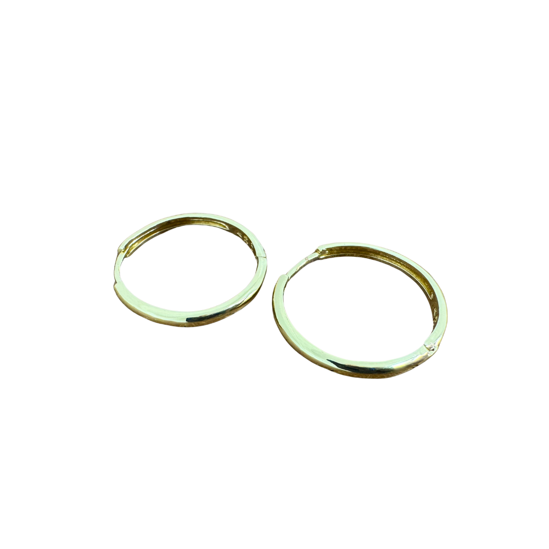 Hoop Earrings