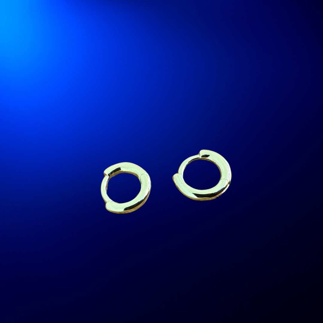 Hoop Earrings