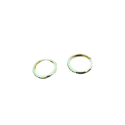 Hoop Earrings