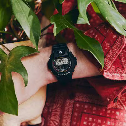 G-Shock DW-6900RL-1
